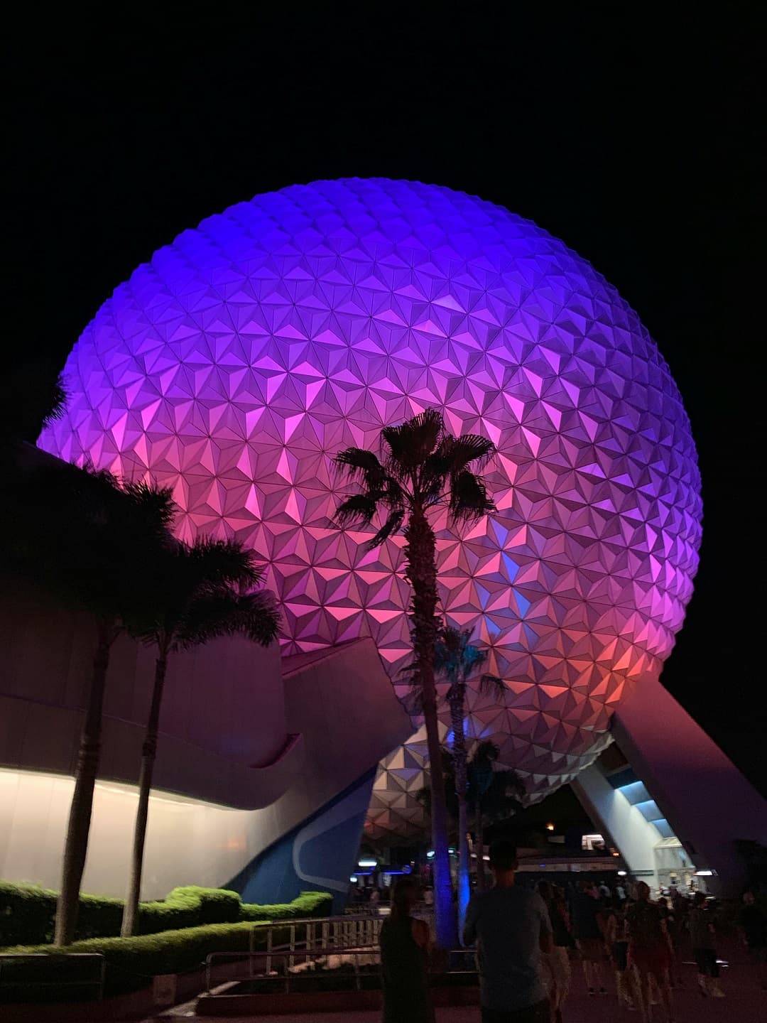 Florida gallery 3