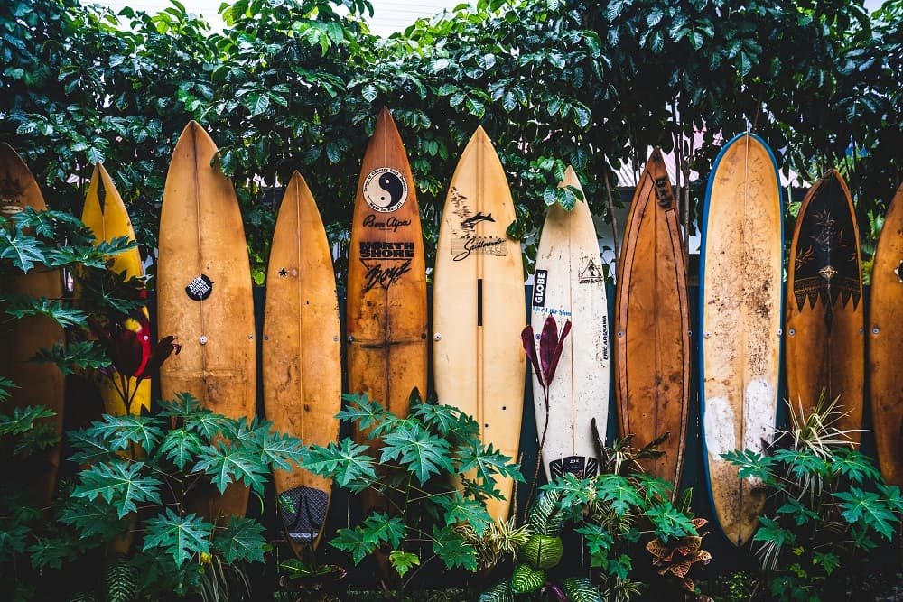 Hawaii gallery 1