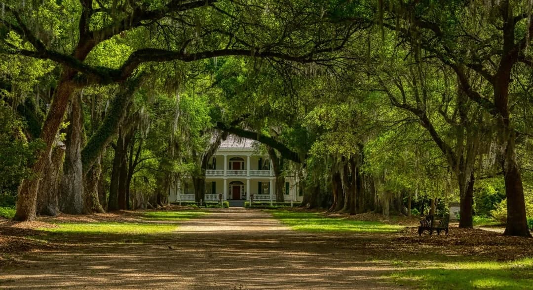 Louisiana gallery 3