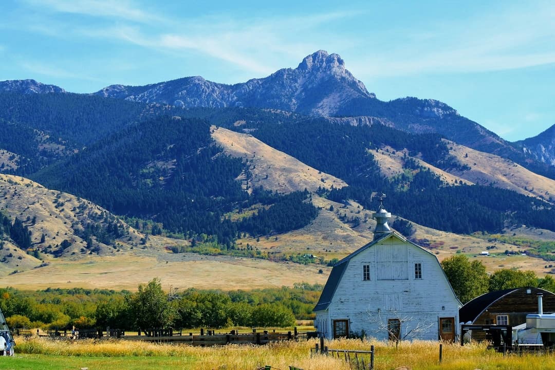 Montana gallery 3