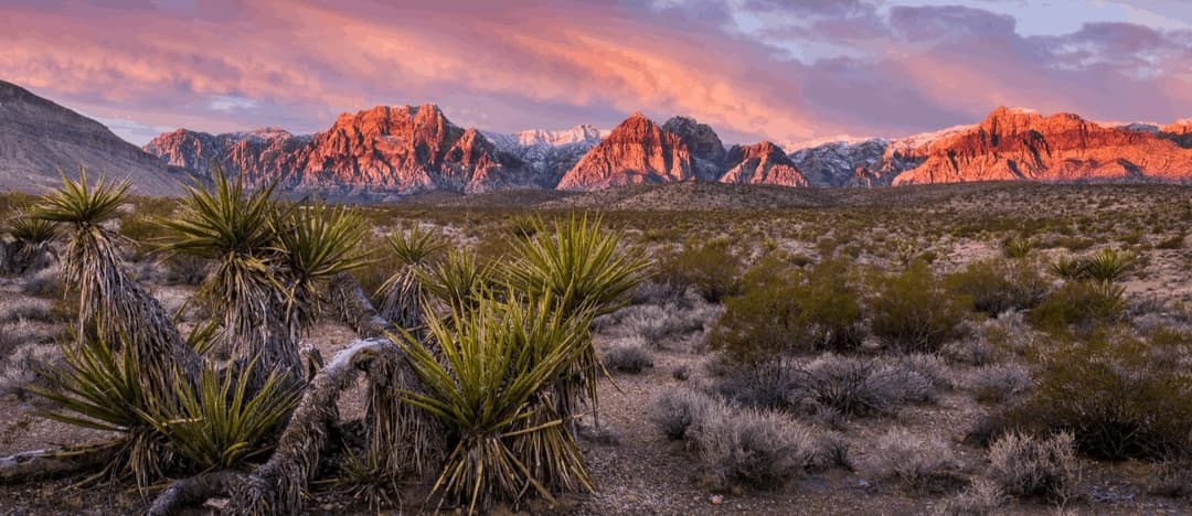 Nevada