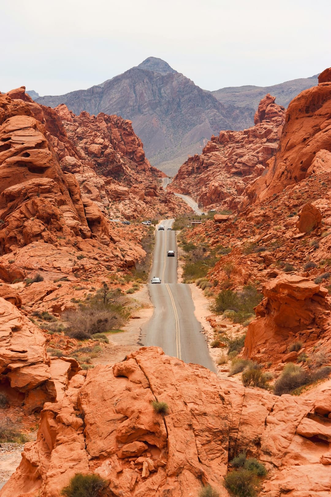 Nevada gallery 1