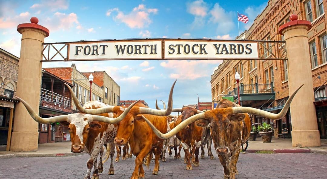 Texas gallery 1